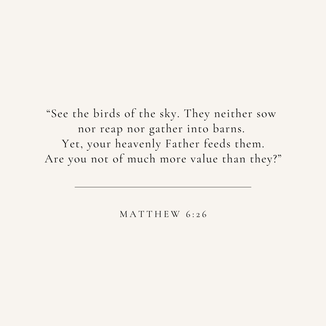 Matthew 6:26 verse card